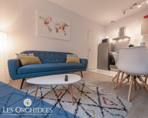 Appartements Les Orchidées Portail Louis SAUMUR